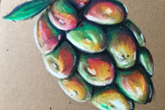 solero